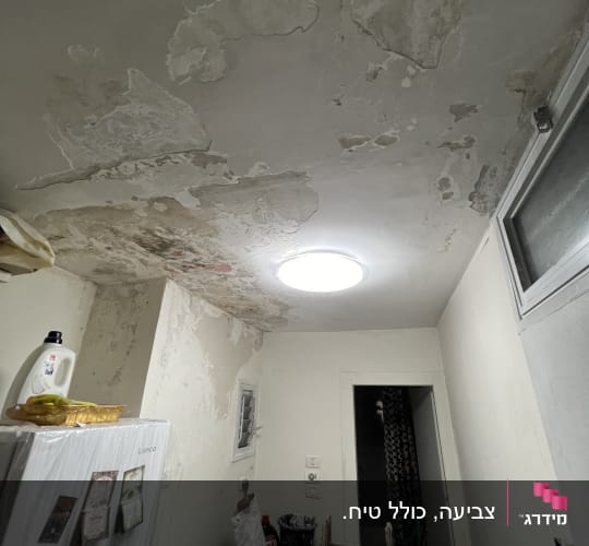 תקרה מתקלפת עם סולם וכלי עבודה לצביעה